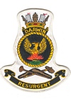 HMAS Darwin badge