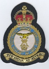 2616 (South Yorkshire) Squadron badge