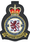602 (City of Glasgow) Squadron badge