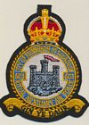 603 Squadron badge