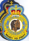 404 Squadron badge