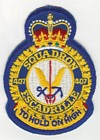 407 Squadron badge