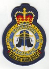 409 Squadron badge