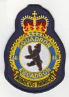 411 Squadron badge