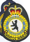 411 Squadron badge