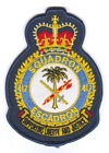 417 Squadron badge