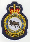 419 Squadron badge