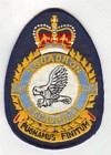 420 Squadron badge