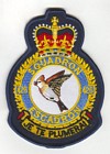 425 Squadron badge
