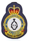 428 Squadron badge