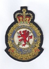 446 Squadron badge