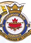 12 Squadron badge