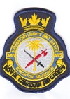 395 Squadron badge