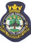62 Squadron badge