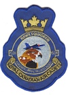 691 Squadron badge