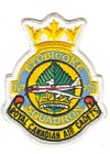 707 Squadron badge
