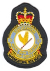 2 Squadron badge