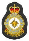 40 Squadron badge