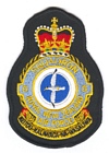 5 Squadron badge