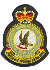 Parachute Training and Support Unit badge