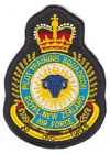 Pilot Training Squadron badge