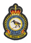 Support Unit Singapore badge