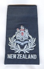 Master Aircrew insignia